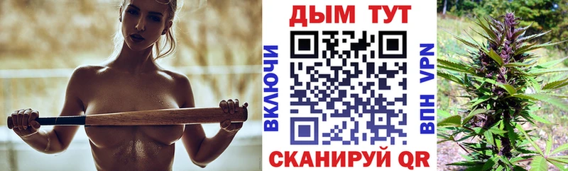 Конопля сатива  Камешково 